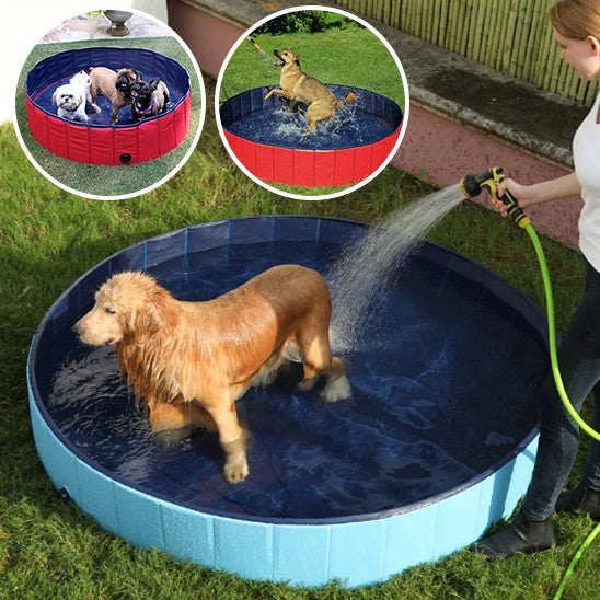 Piscine pour chien | Robuste