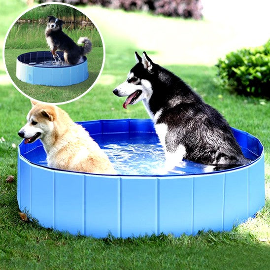 Piscine pour chien | Robuste