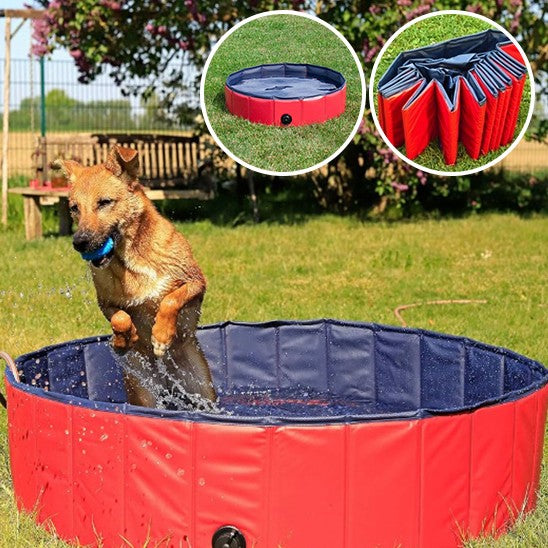 Piscine pour chien | Robuste