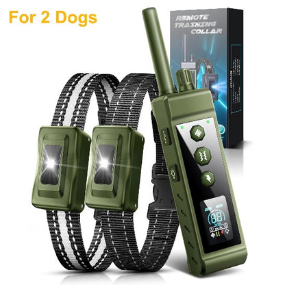 Meilleur collier de dressage pour Chien