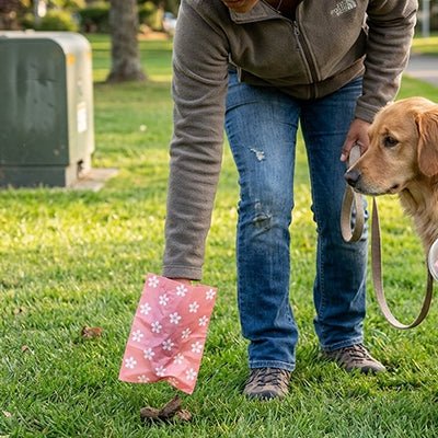 Sac a Crottes pour Chien | Biodégradable - Excursion Chien