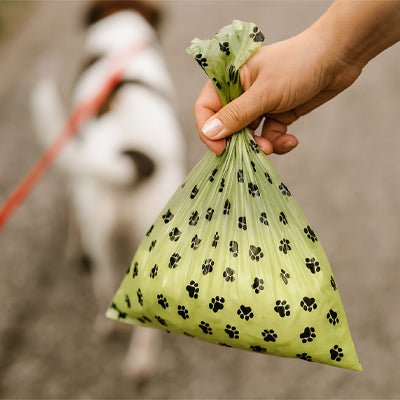 Sac a Crottes | Biodégradables Vert Parfumés - Excursion Chien