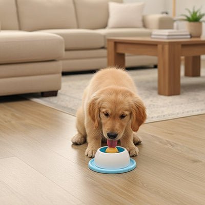 Bol anti - glouton pour chien | Stimulation mentale - Excursion Chien