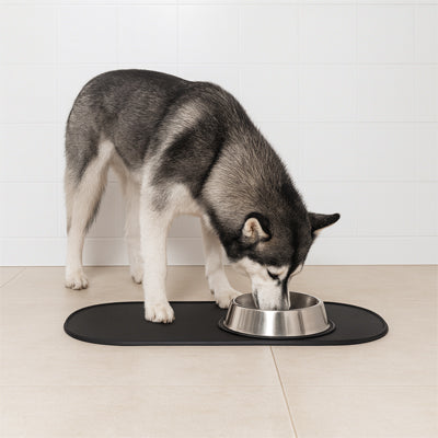 tapis absorbant gamelle chien facile à nettoyer