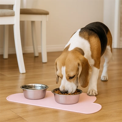 tapis antidérapant gamelle chien qui protège le sol