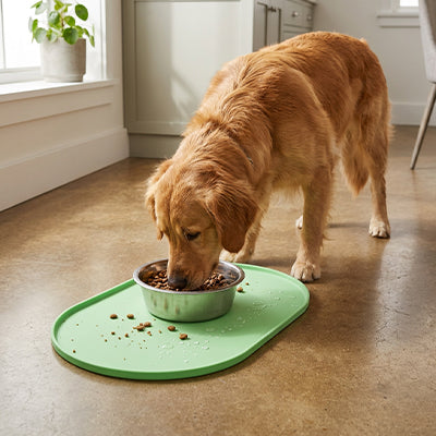 tapis de gamelle chien avec rebord surélevé qui garde votre sol propre