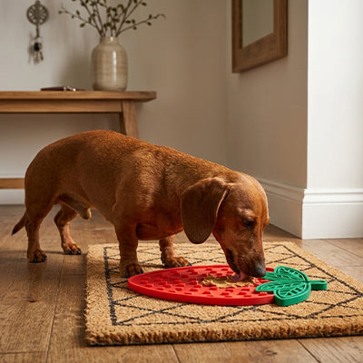 tapis de lechage chien anti-anxiété
