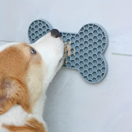 Tapis de lechage chien qui favorise une meilleure digestion