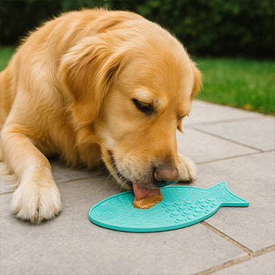 tapis de lechage pour chien qui calme naturellement