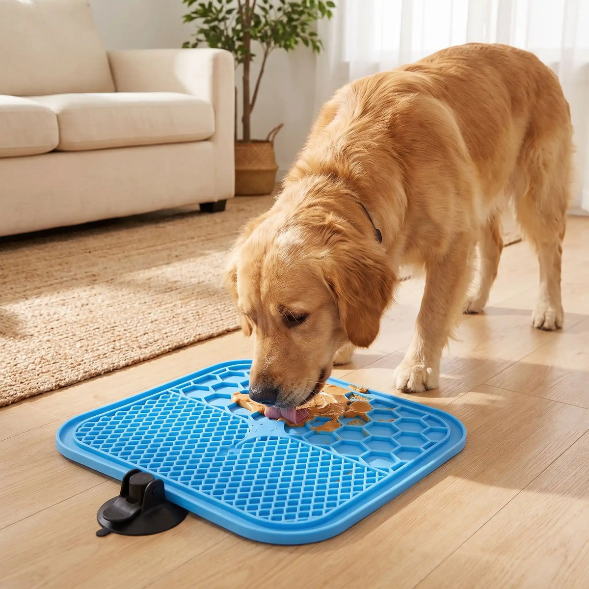 Tapis de leche chien | Silicone