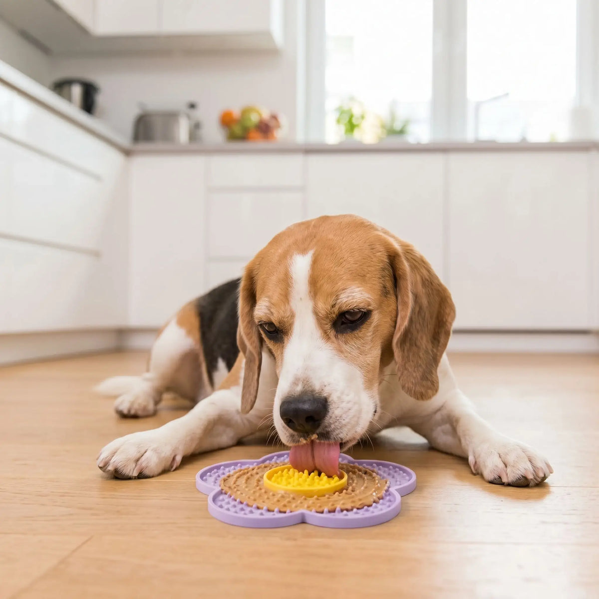 Tapis lechage chiot | Zenpaw™️