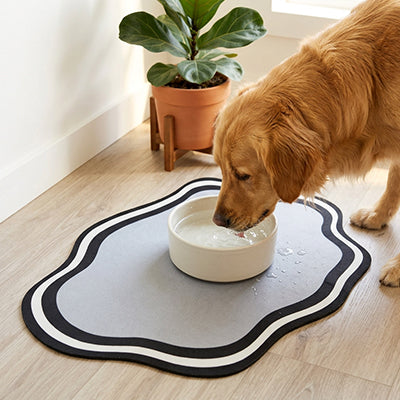tapis sous gamelle chien qui protège vraiment votre intérieur