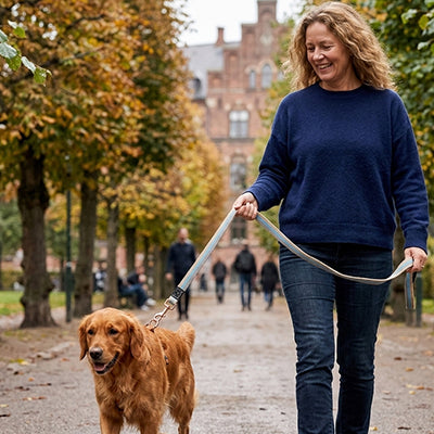 une laisse de chien solide et élégante