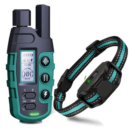 Avis collier anti fugue Chien