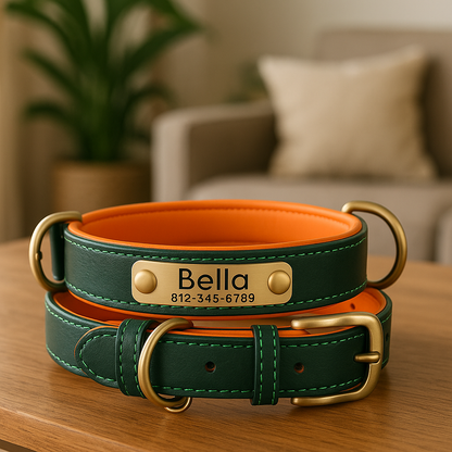 Collier Chien personnalisé prenom vert