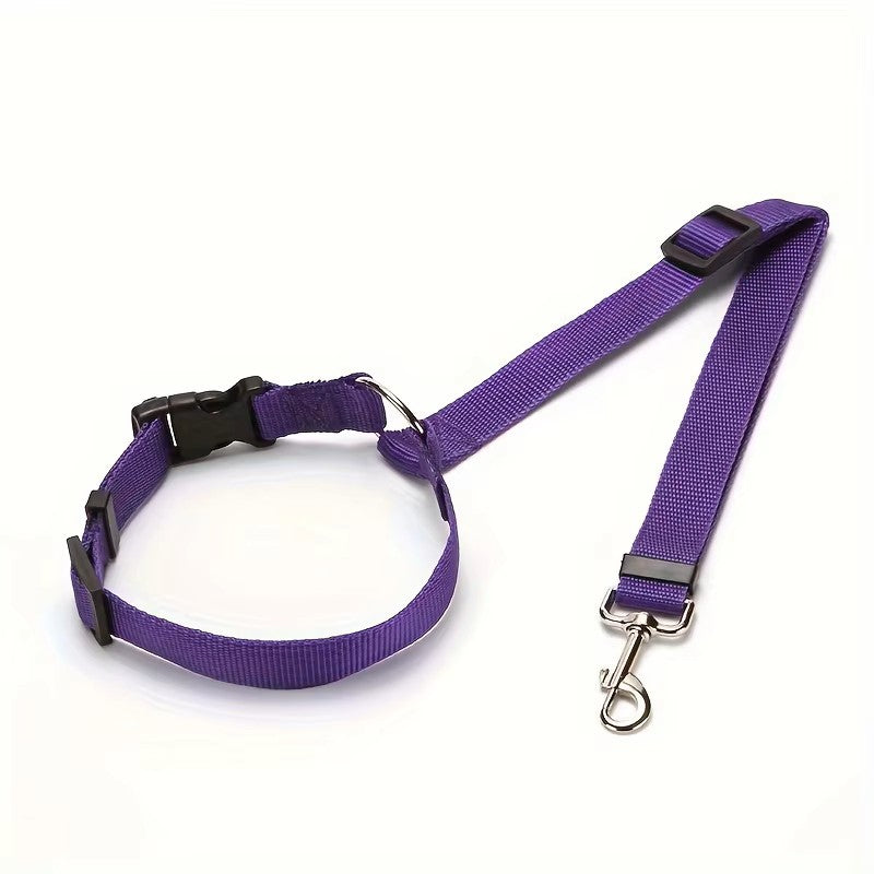 Laisse de sécurité réglable pour chien